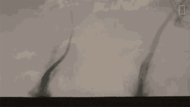 Double Tornadoes World Meteorological Day GIF