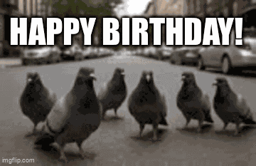 Dove Birthday GIF