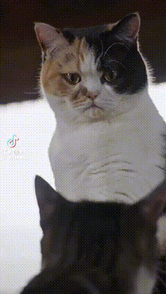 Dracin Az4620 GIF