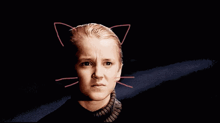 Draco Malfoy Cat Draco GIF