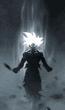 Dragon Ball Dragon Ball Z GIF