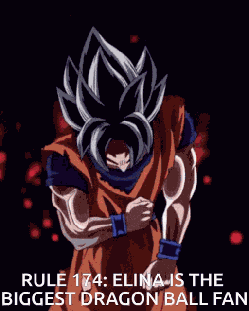 Dragon Ball Goku GIF