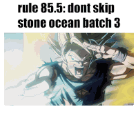 Dragon Ball Rule 85 Sticker