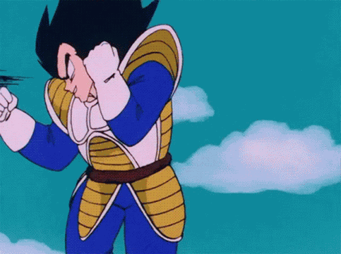 Dragon Ball Vegeta GIF