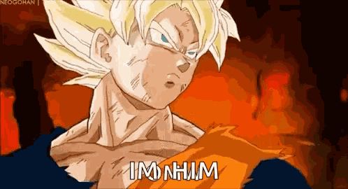Dragon Ball Z Dbz GIF