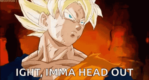 Dragon Ball Z Dbz GIF