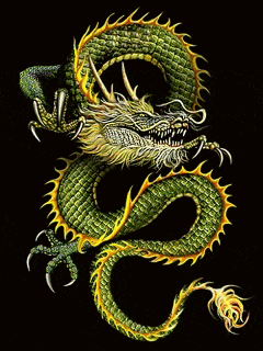 Dragon Chinese Dragon GIF