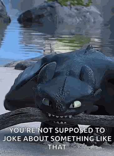 Dragons Toothless GIF