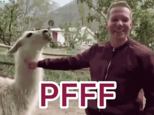Drama Llama Pff GIF
