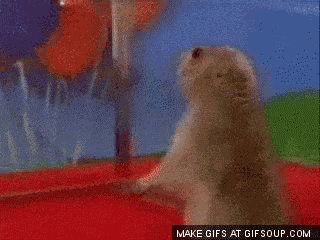 Dramatic Drama Queen GIF