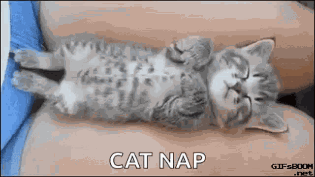 Dream Cat Nap GIF
