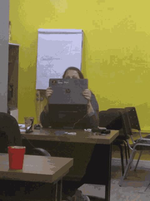 Dricapriori Hide Face GIF