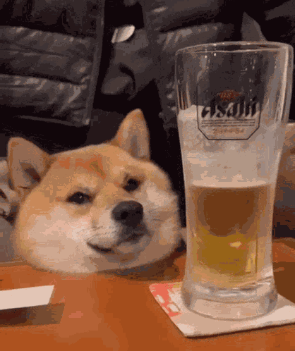 Drinking Beer GIF