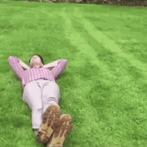 Drive Over Run Over GIF