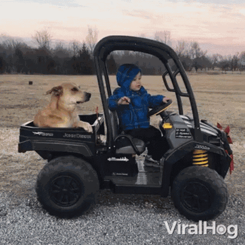 Driving Viralhog GIF
