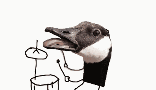 Drum Snare Goose Ba Dum Tss GIF