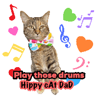 Drums Dance Funny Sticker