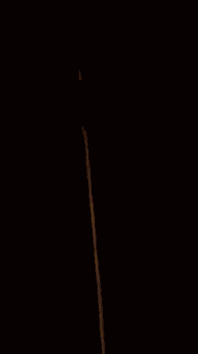 Drunk Cat Passed Out GIF