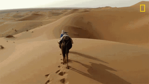 Dry GIF
