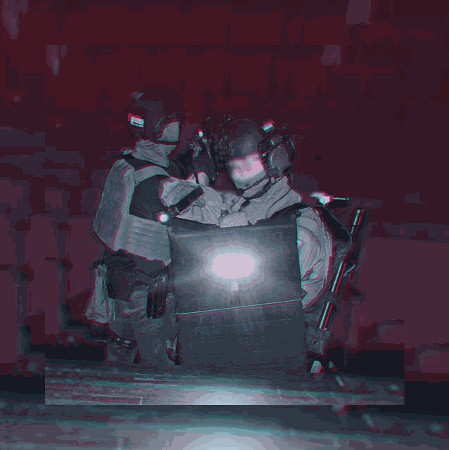 Dsi Dienst Speciale Interventies GIF