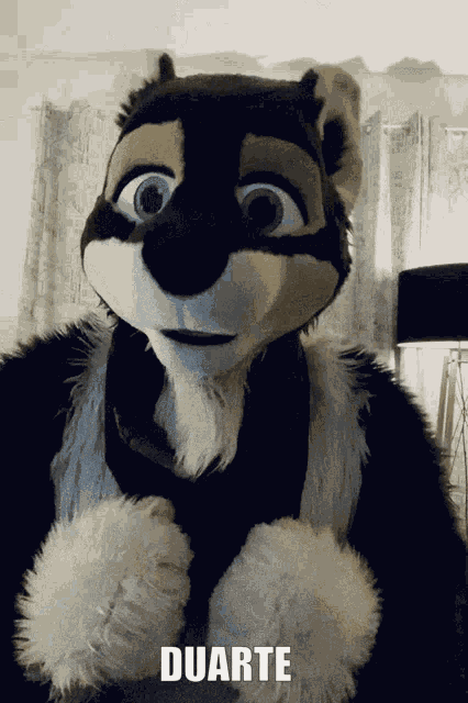 Duarte Sdkduarte GIF