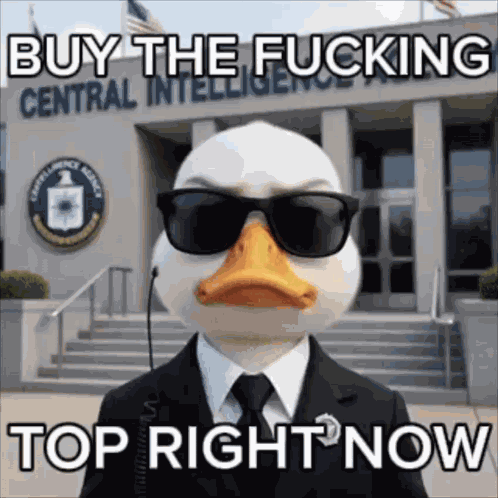 Duck Cia GIF
