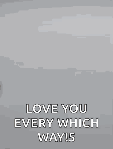 Duck Ducks GIF