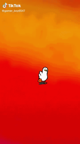 Duck GIF