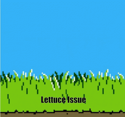 Duck Hunt Lettuce GIF