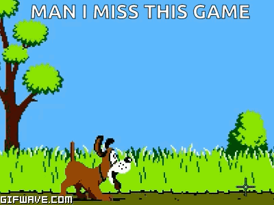 Duck Hunt GIF