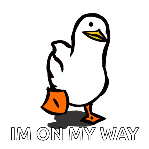 Duck Meme GIF