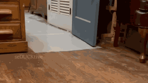 Duck Run Duck Running GIF