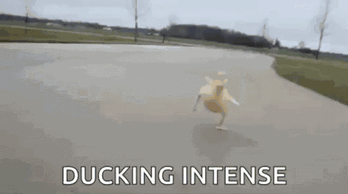 Duck Run GIF
