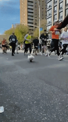 Duck Running Duck Shoes Duck Duck Duck Duck Duck GIF