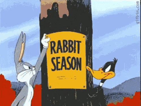 Duck Season Rabbit Season GIF