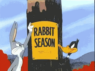 Duck Season Rabbit Season GIF