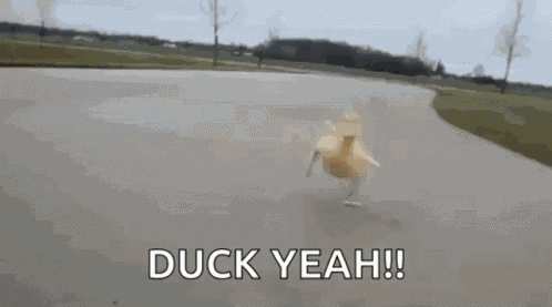 Duck Yeah GIF