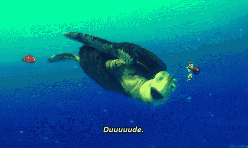 Dude Finding Nemo GIF