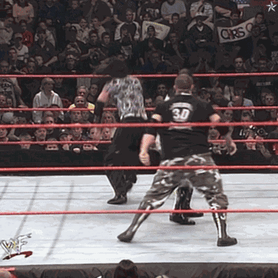 Dudley Boyz 3d GIF