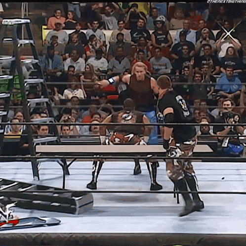 Dudley Boyz 3d GIF