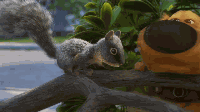 Dugdays Squirrel GIF