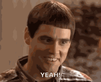 Dumb And Dumber Comedy GIF