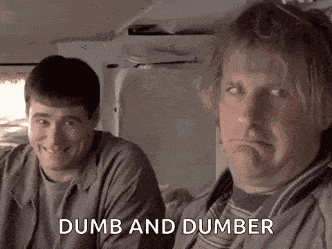 Dumb And Dumber Dumb And Dumber Gif GIF