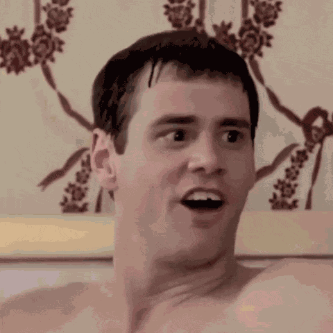 Dumb And Dumber Dumb And Dumber Gif GIF