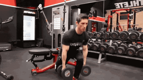 Dumbbell Bulgarian Split Squat Bumbbell GIF
