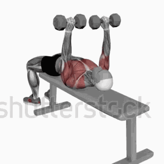 Dumbbellbenchpress GIF