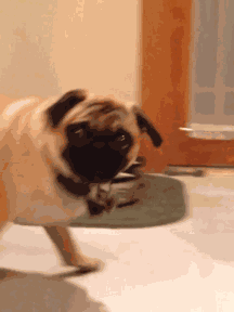 Dun Dun Dun! GIF