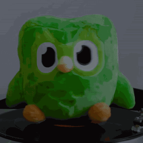 Duolingo Christmas Album Green Owl GIF