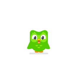 Duolingo Cool GIF