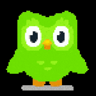 Duolingo Duo Lingo GIF